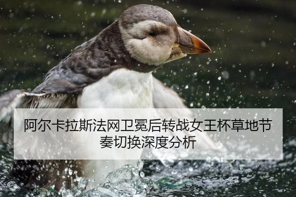 a-er-ka-la-si-fa-wang-wei-mian-hou-zhuan-zhan-nv-wang-bei-cao-di-jie-zou-qie-huan-shen-du-fen-xi-2-113.jpg